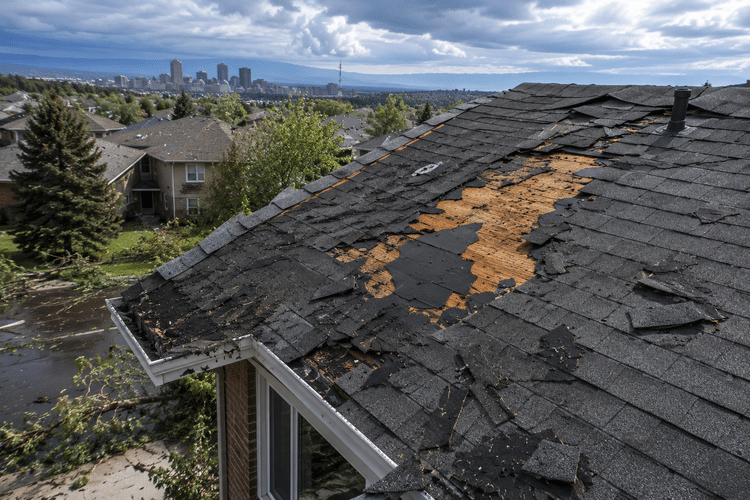 storm damage roof