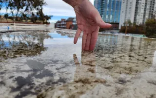 Pooling water on a flat commercial roof in Denver, showing a common drainage issue that requires professional roofing maintenance.